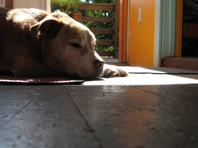 King of the homestead