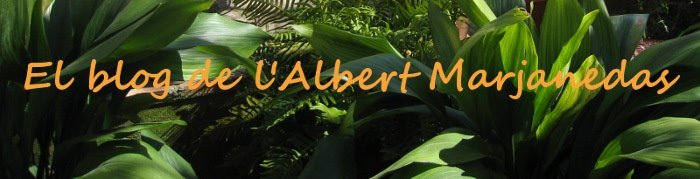 El blog de l'Albert Marjanedas