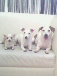 kiki , snowy and tara :D