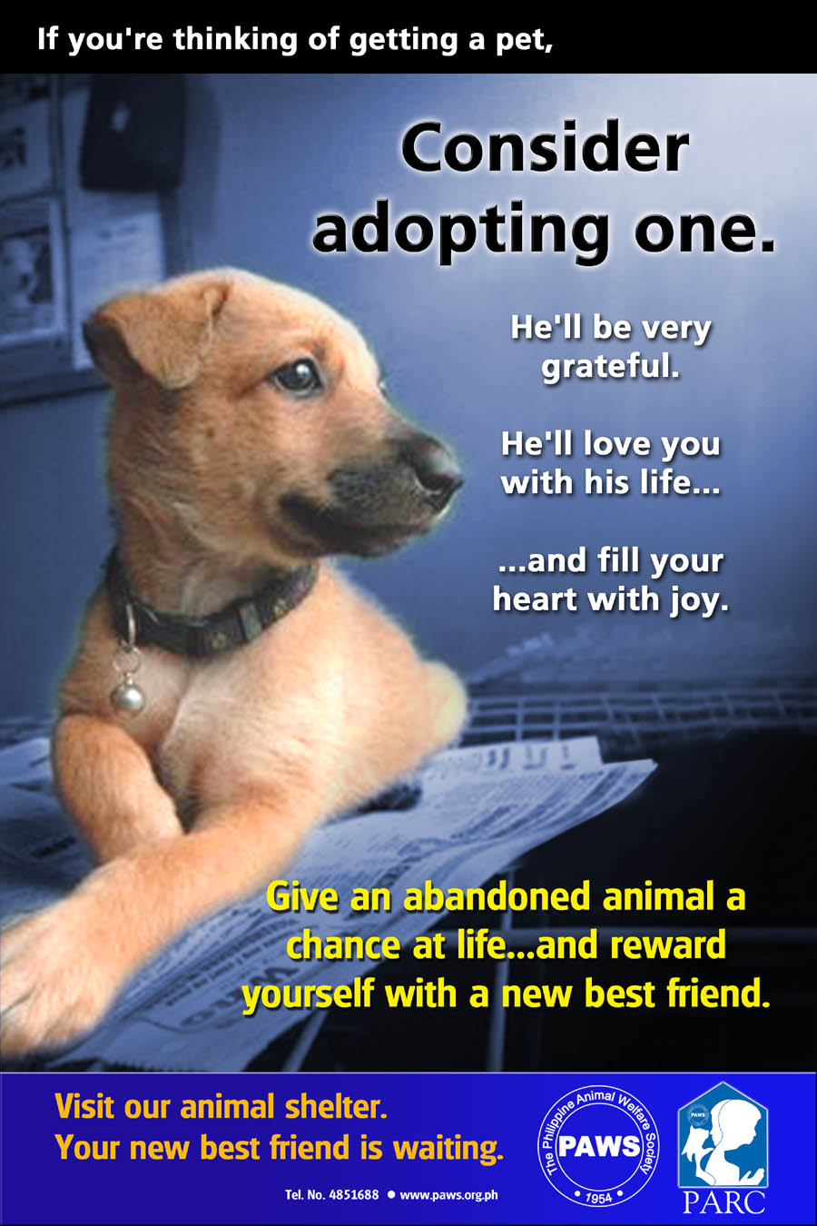 Adopt a pet.