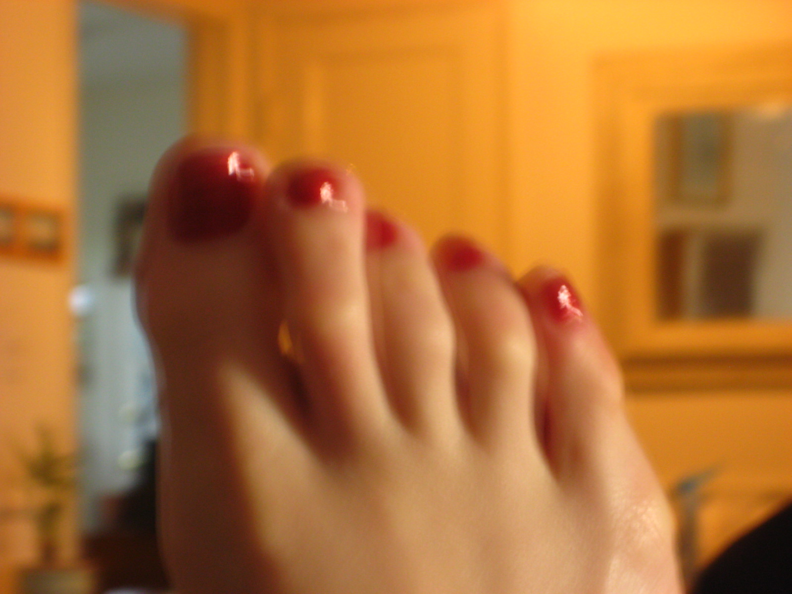 [IMG_1515.JPG]