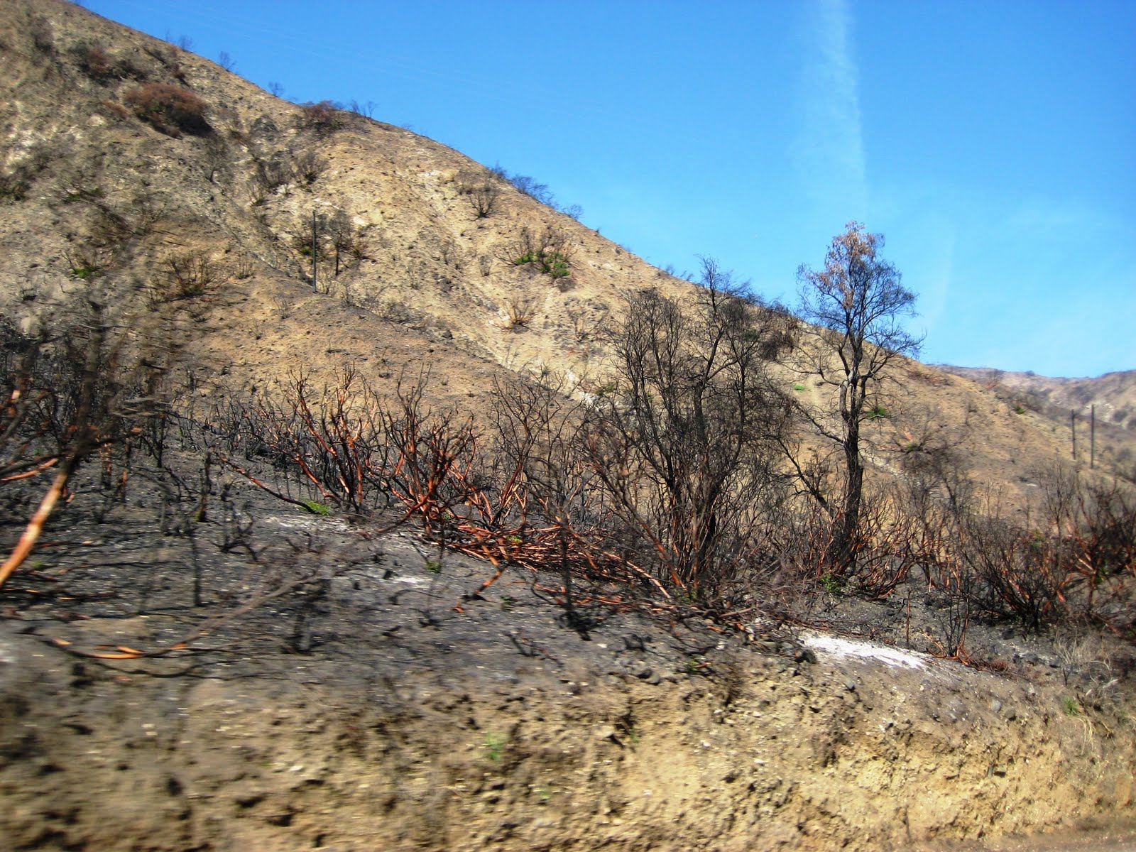 [IMG_2382.JPG]