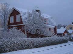 Winter in Ulricehamn