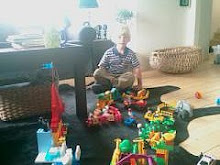 Buliding a zoo and a traintrack!