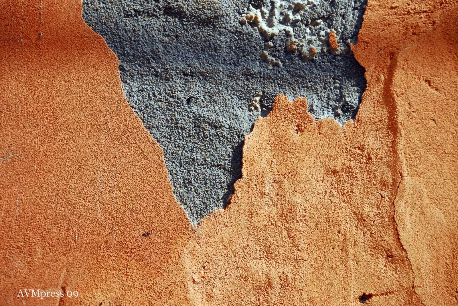 [AVM_6870.JPG]