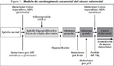 thesis statement for brain cancer Looking at brain tumors psychology essay print which acts as physical and physiologic obstacles for delivery of drugs to the brain also, cancer chemotherapy is. thesis statement for brain cancer Looking at brain tumors psychology essay print which acts as physical and physiologic obstacles for delivery of drugs to the brain also, cancer chemotherapy is.
