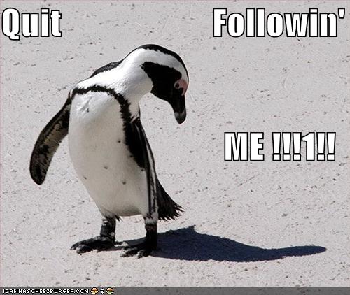 penguins very funny penguins very funny