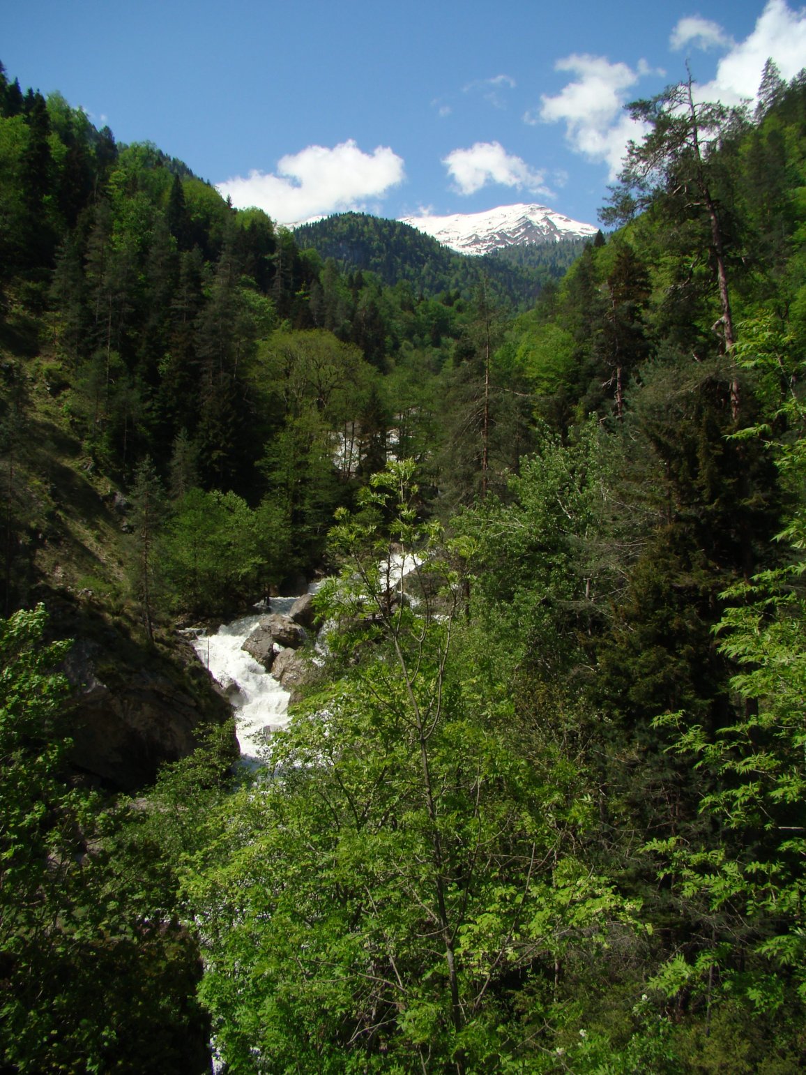 [DSC00607.JPG]