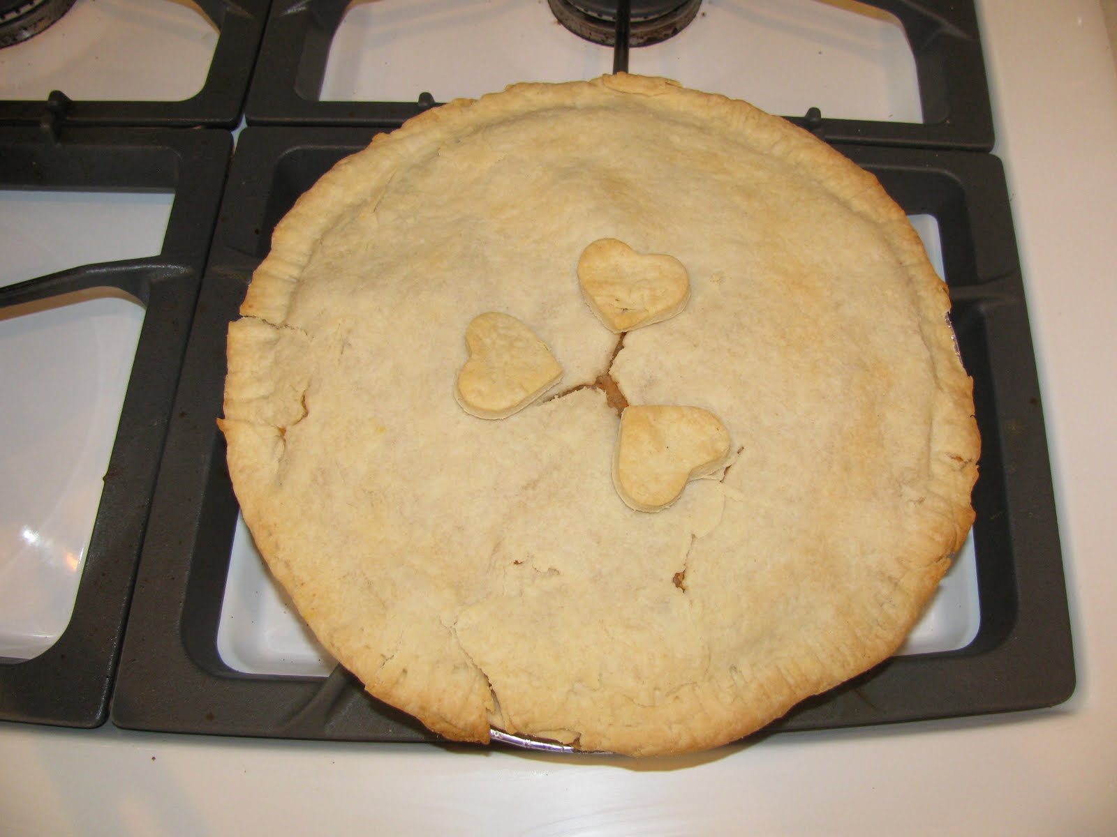 Treasured Recipes From Gram Salmon Pie