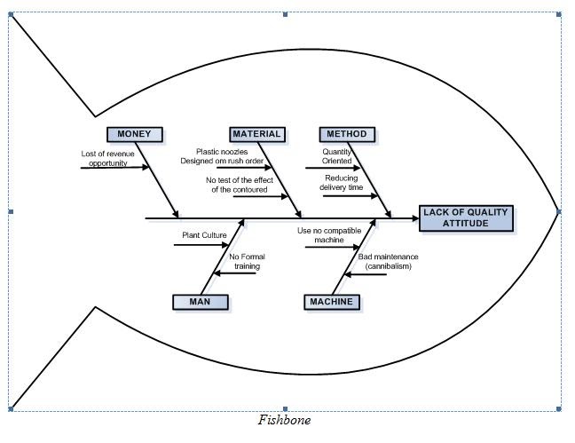 Hank kolb director quality assurance essay 08 image
