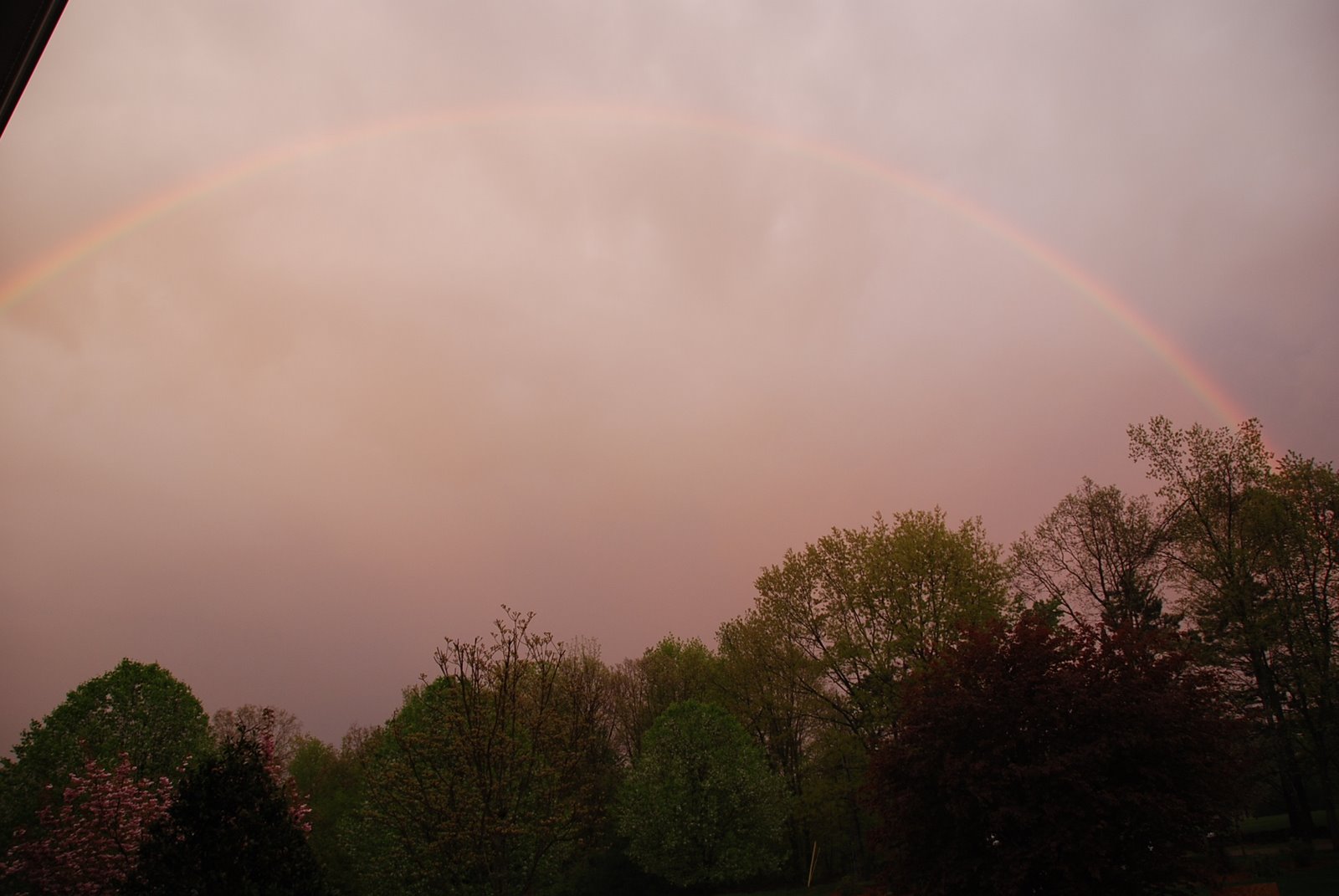 [DSC_0732.JPG]