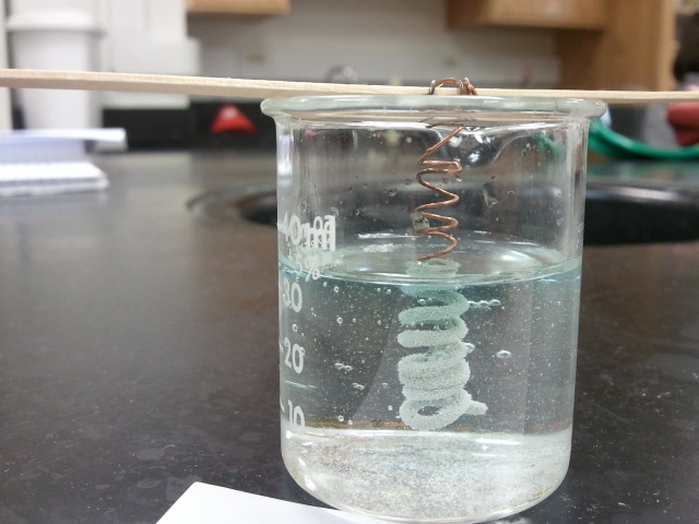 copper in silver nitrate lab This is a single replacement reaction that precipitates pure silver metal out of a solution of silver nitrate in the presence of solid copper metal. copper in silver nitrate lab This is a single replacement reaction that precipitates pure silver metal out of a solution of silver nitrate in the presence of solid copper metal.