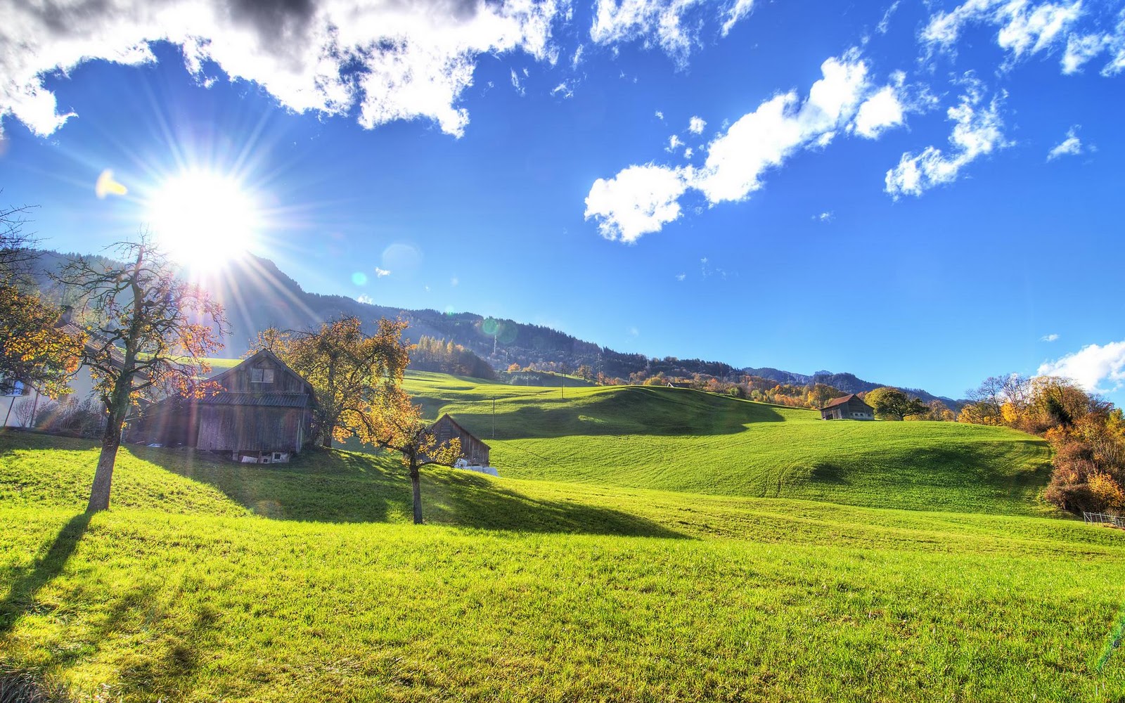 Autumn Wallpaper Background:Computer Wallpaper | Free Wallpaper Downloads