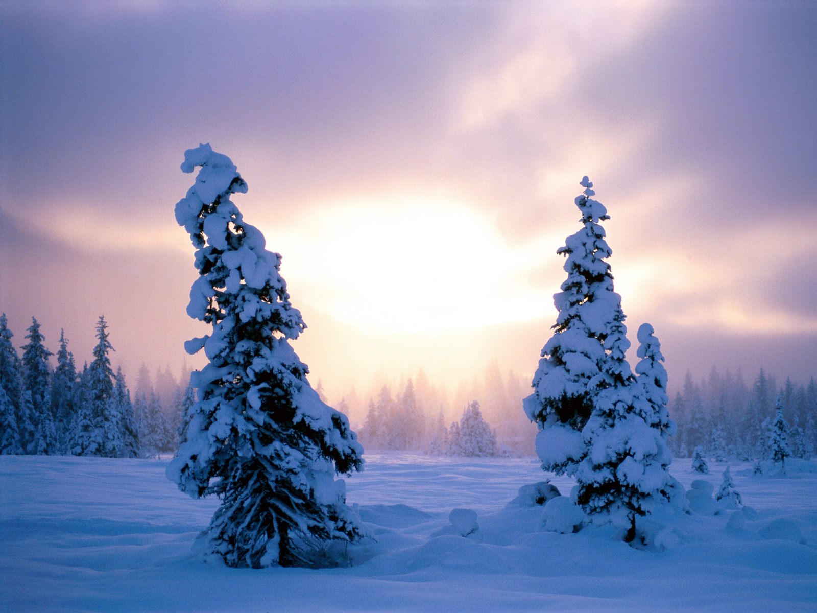 Wallpapers HD Winter:Computer Wallpaper | Free Wallpaper Downloads