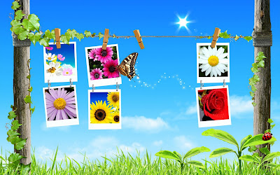 Spring Backgrounds Spring Backgrounds