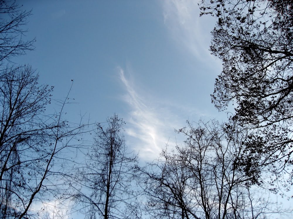 [sky.JPG]