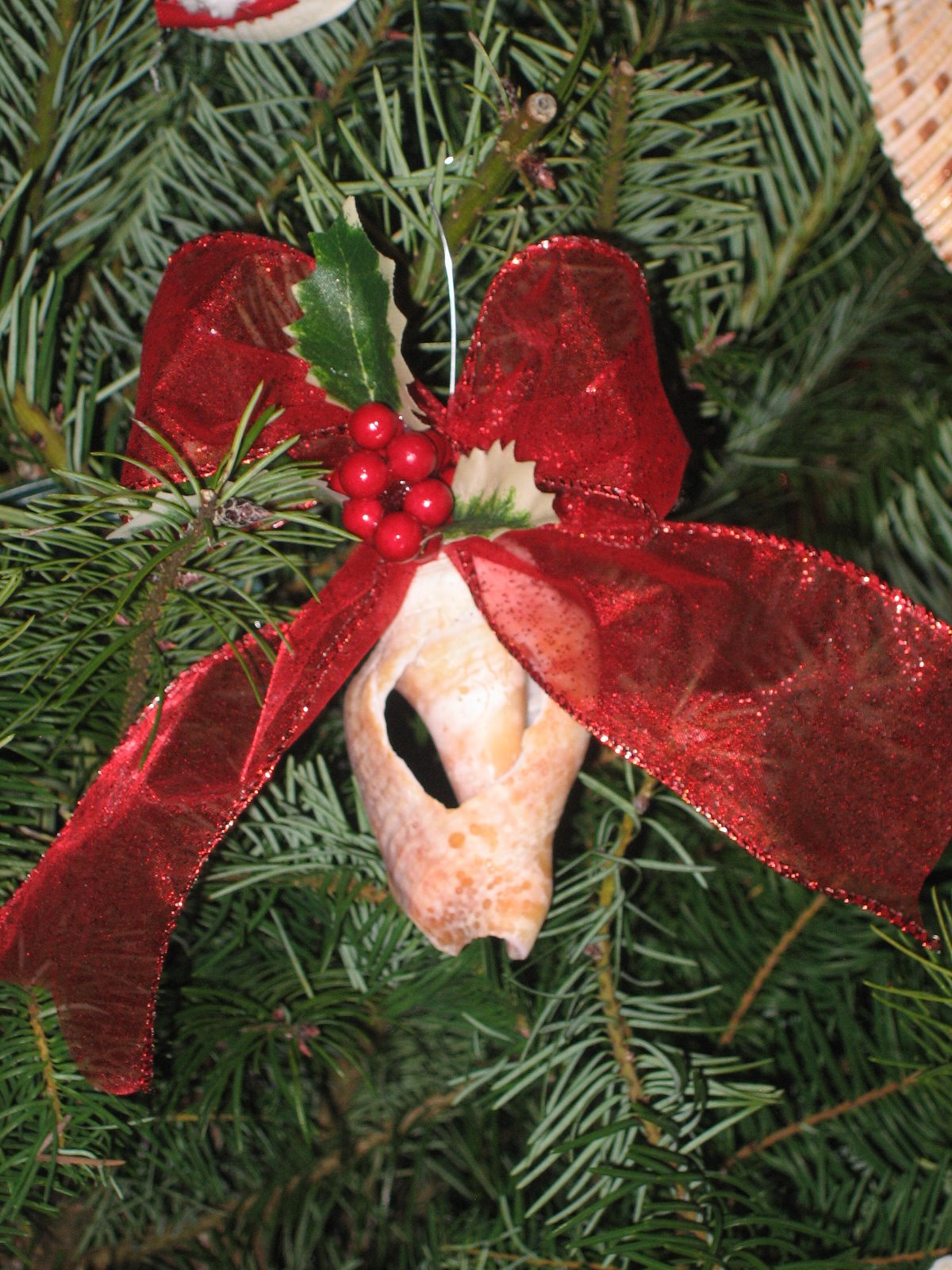 What's New Sea Shell Christmas Tree