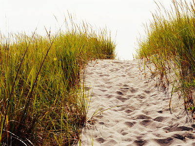 dune grass wallpaper, dystopian visions and original states of