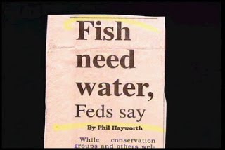 [Fish.bmp]