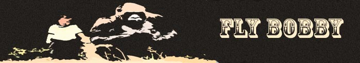 www.FlyBobby.com - A Collection Of Visual Delights