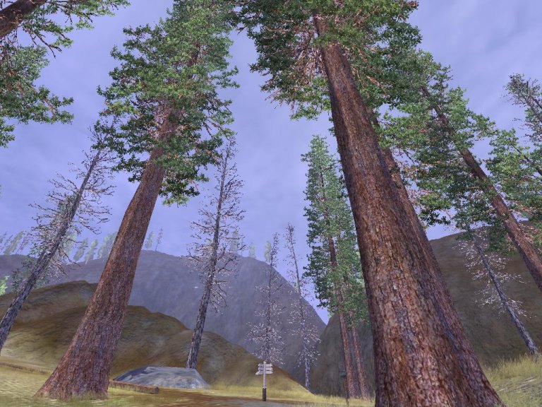 [ScreenShot_00000.JPG]