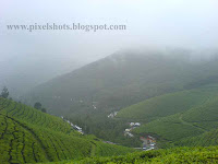munnar photo galleries munnar photo galleries,hill stations in kerala,indian famous hill stations,hill stations under threat,kerelas coldest places,kerala tea plantations,hill station scenic landscapes,kerala landscape sceneries,rarest flowers seen in india,green hills with tea plantations and valleys landscape sceneries from hill station munnar of kerala
