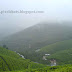 MUNNAR photo galleries.Neelakurinjis, Flower ONCE IN 12 YEARS. Photos of trees in mist, munnar hill slopes etc. A munnar tour trip photo album.