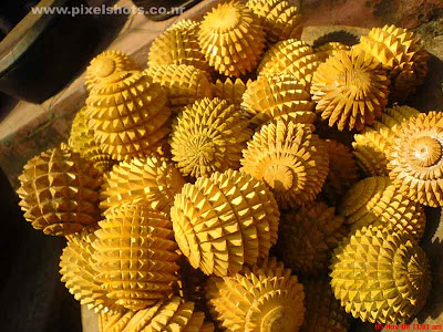 small wooden globes with spikes for sale in mattancherry jew street side shops in kerala cochin