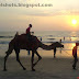 Beach sunset & camel ride- Calicut beach kerala