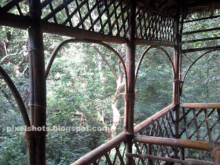 inside a tree house,view from inside tree house,house on tree from kerala forests,tree house made of canes and bamboos