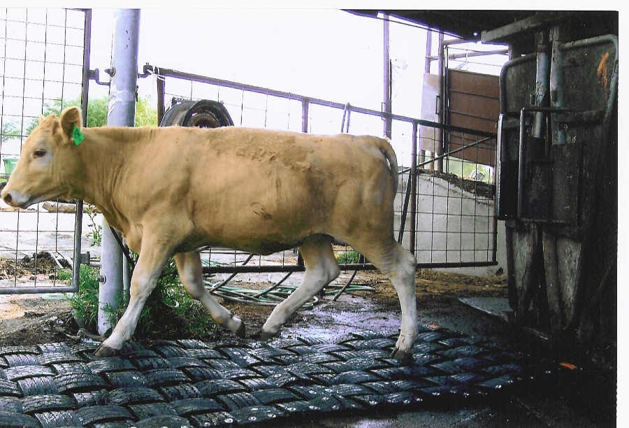 Double D Family Mat Shop Cattle Mat