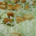 CAESAR SALAD (Molho igual ao do Outback)