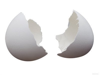 [egg.bmp]