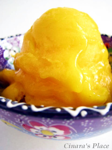 [Mango+Sorbet_MD.JPG]