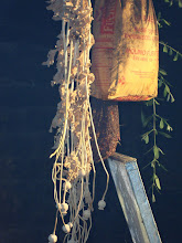 ramitas para obtener  la luz correcta