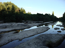 El salto del Itata