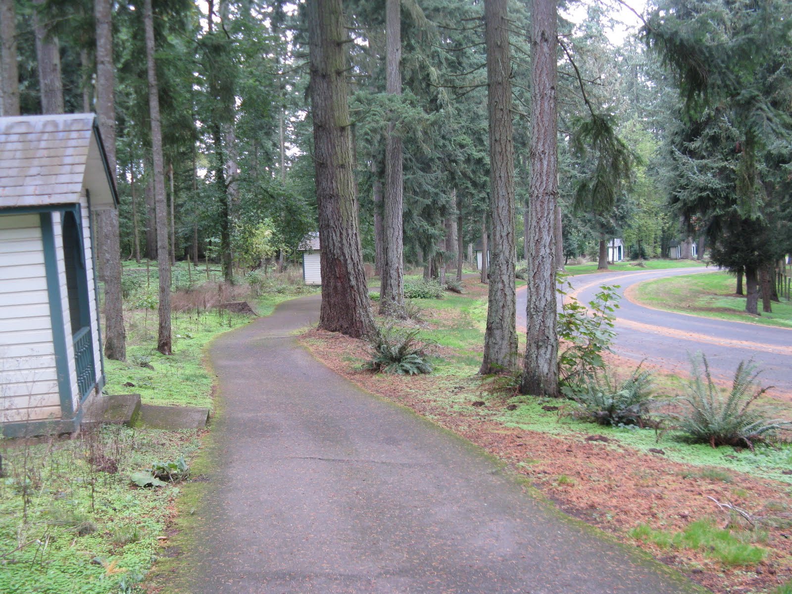 Tarra's Travels Silver Falls State Park, Silverton & Mt. Angel, Oregon