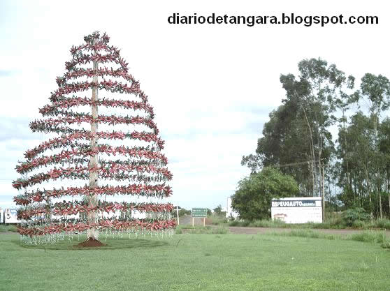 Tangará vive clima natalino