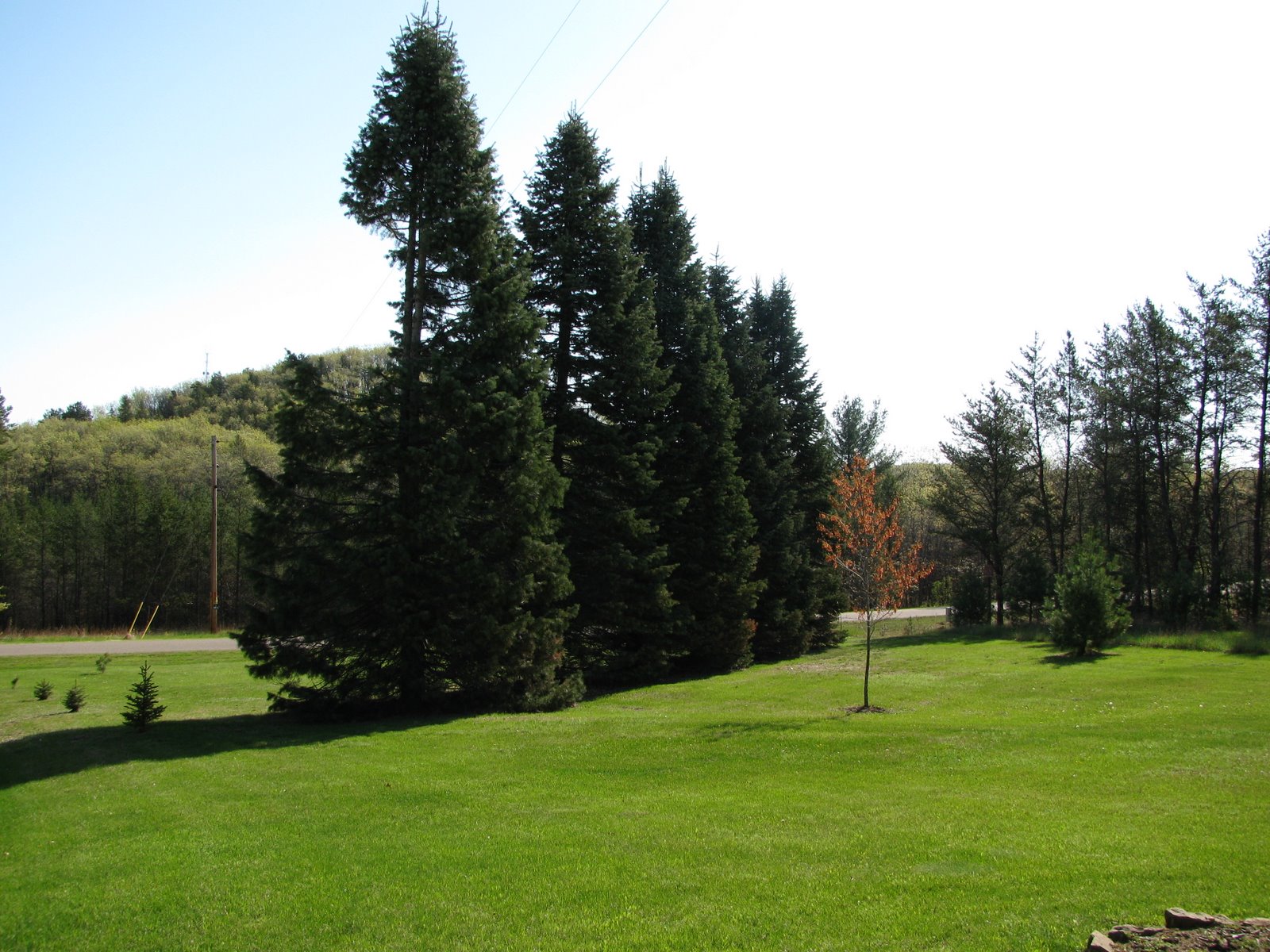 [Ourdoor+Spring+09+012.JPG]