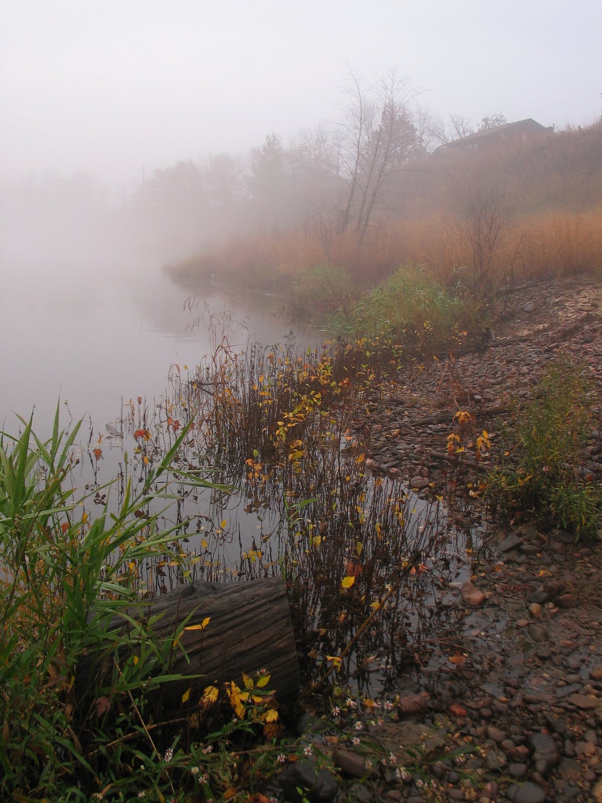 [IMG_3945.JPG]