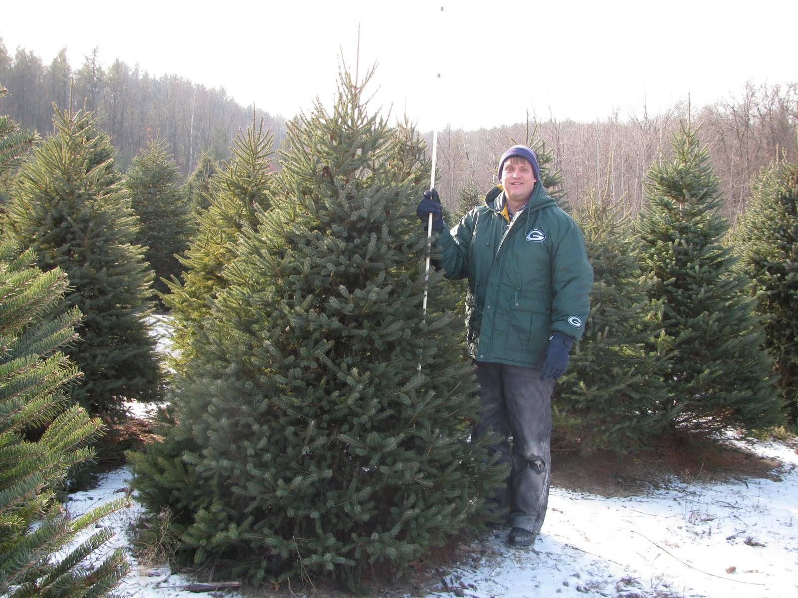 [Christmas+Tree+09+025.JPG]