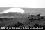 Previsão das Ondas
