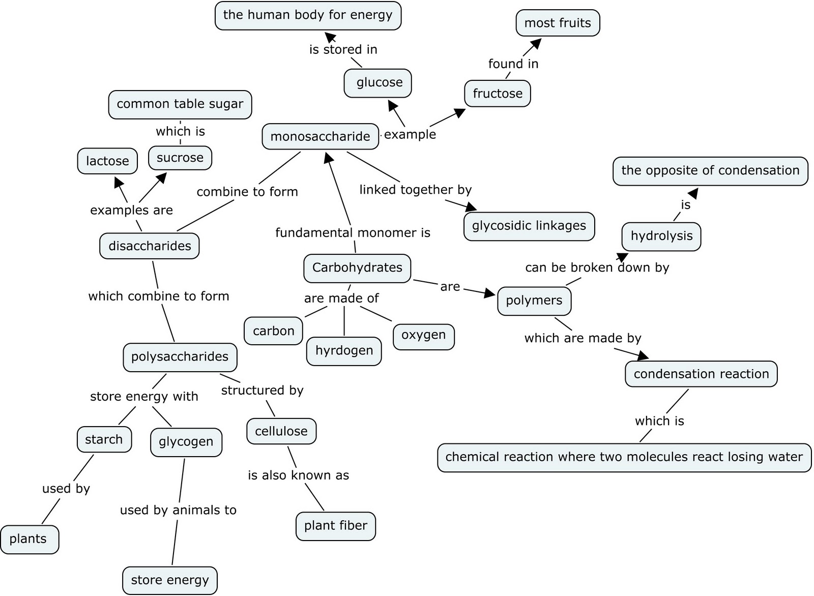 brains for bio carbohydrates common carbohydrates