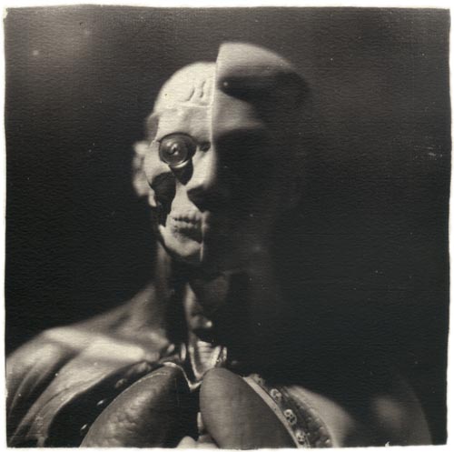 [anatomie.jpg]