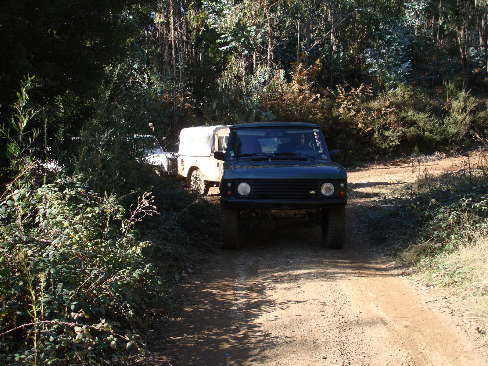 [DSC06989.JPG]