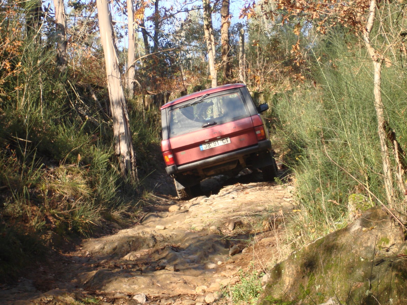 [DSC09273.JPG]