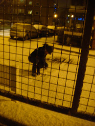 Bricks on toes Snow through chest