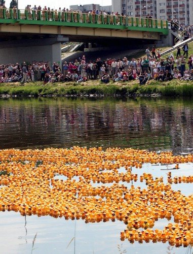 [2008061577patos_g.jpg]