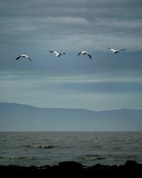 [mar+para+el+bubi.jpg]