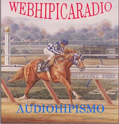 AUDIOHIPISMO@GMAIL.COM